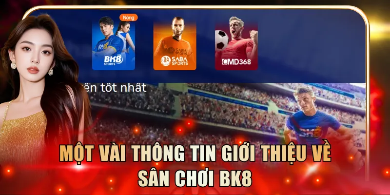 Một vài thông tin giới thiệu về sân chơi BK8