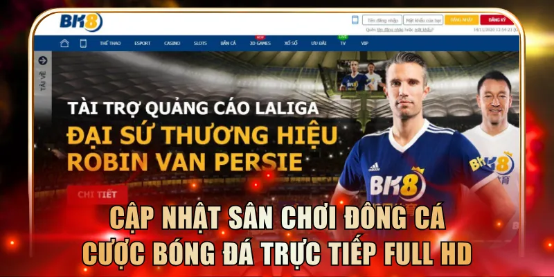 Cập nhật sân chơi đông cá cược bóng đá trực tiếp Full HD